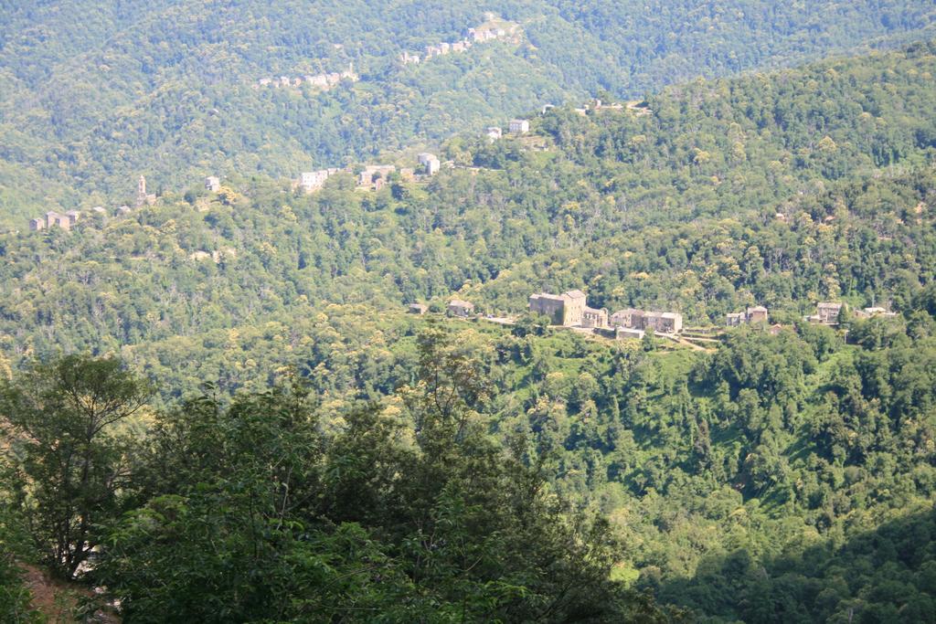 Le Refuge Orezza Piedicroce  エクステリア 写真