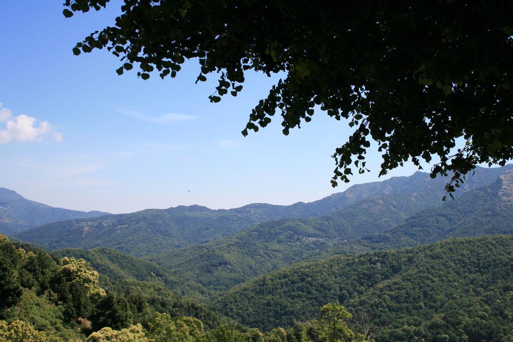 Le Refuge Orezza Piedicroce  エクステリア 写真