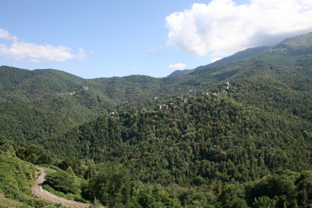 Le Refuge Orezza Piedicroce  部屋 写真